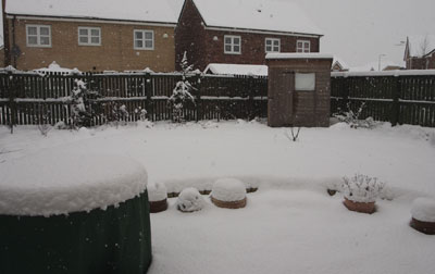 Snow-at-home-11.jpg