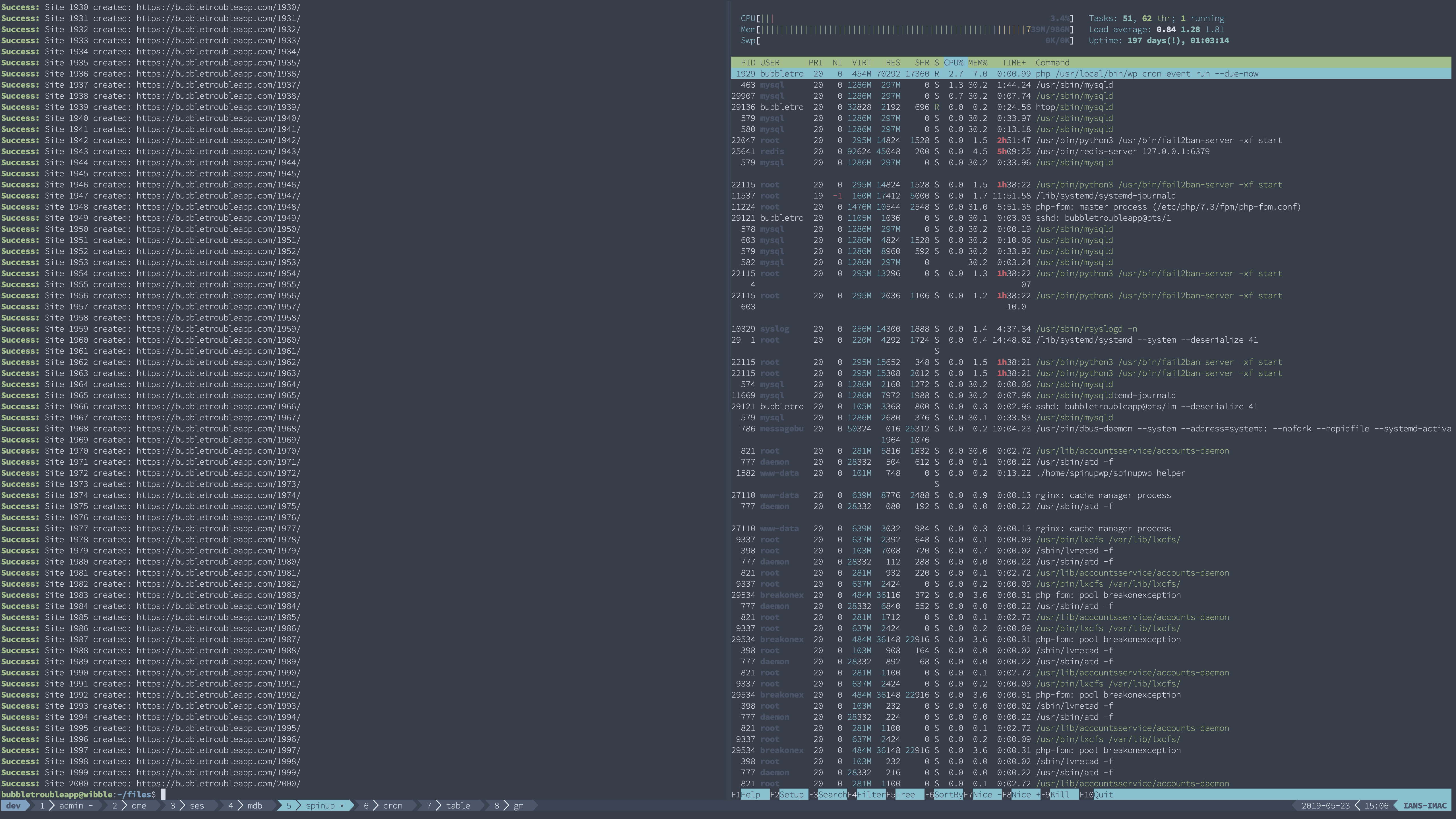 Screenshot of terminal showing WP-CLI output