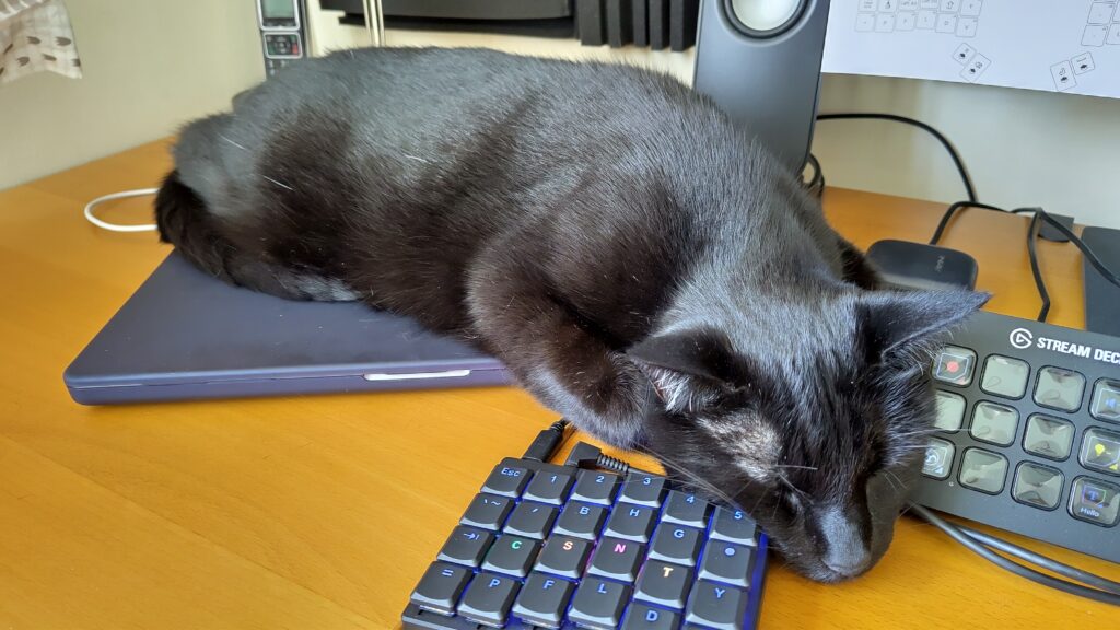Picture of a black lying on top of a closed laptop, with head resting between keyboard and stream deck.