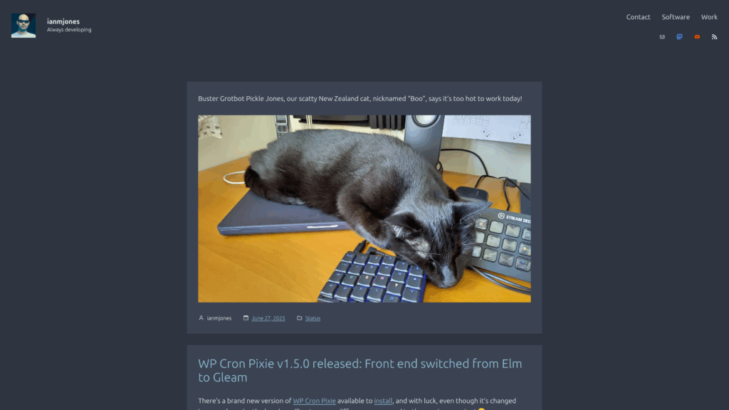Screenshot of Nord themed website.